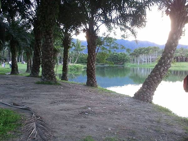 2012-09-01 17.12.49 2012-09-01 17.12.49