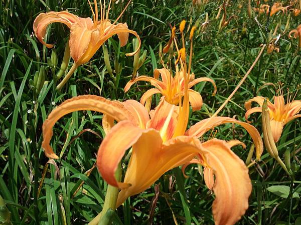 2012-09-02 13.20.09 2012-09-02 13.20.09