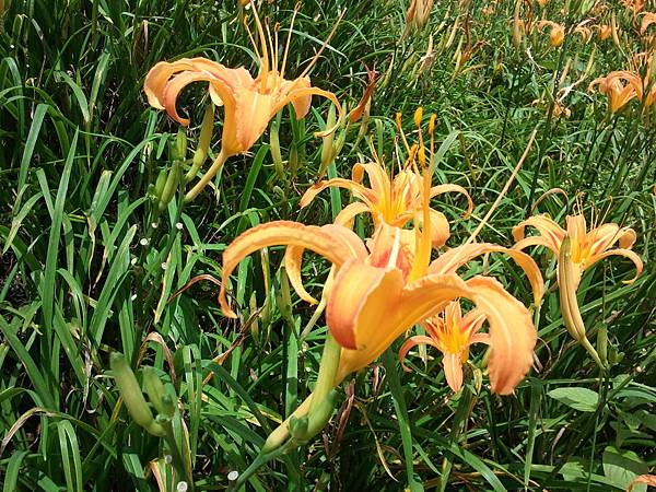 2012-09-02 13.20.21 2012-09-02 13.20.21