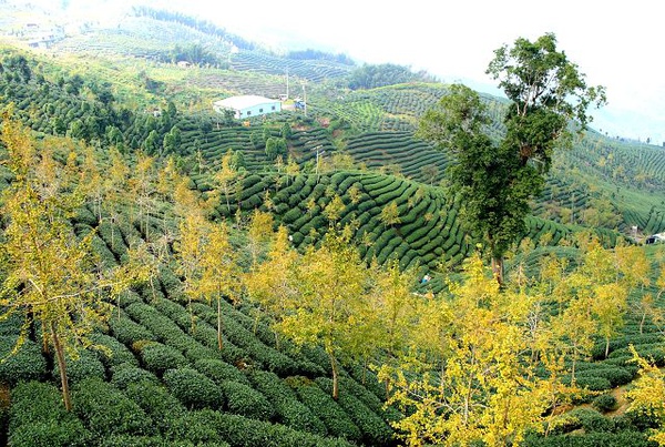 4702ea8a74e8b22983eccc43e2f0e0be