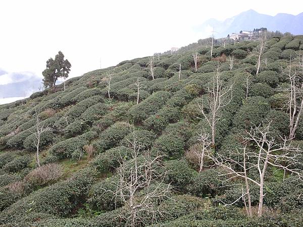 2013-03-02 14.46.49 2013-03-02 14.46.49