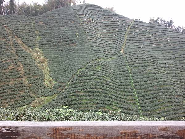 2013-03-02 14.47.10 2013-03-02 14.47.10