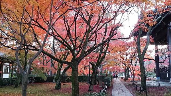 20141127_163038 20141127_163038