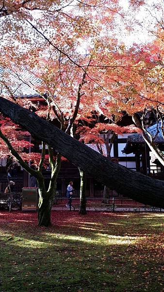 20141127_144143 20141127_144143