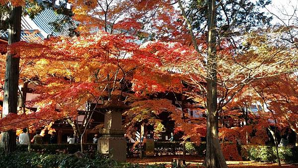 20141127_144813 20141127_144813