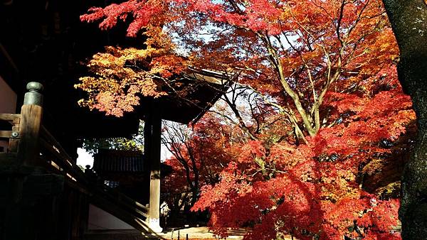 20141127_150002 20141127_150002