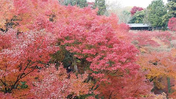 20141128_103419 20141128_103419