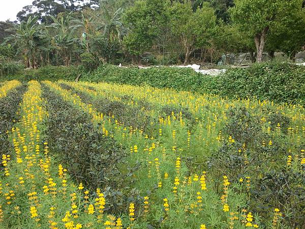 2011-04-02 14.59.00.jpg 2011-04-02 14.59.00.jpg