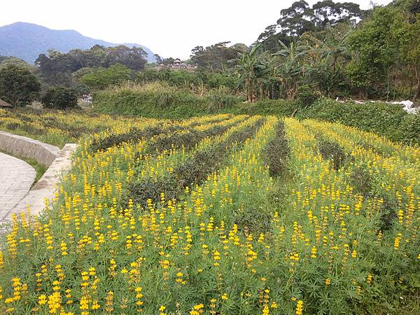 2011-04-02 15.03.49.jpg 2011-04-02 15.03.49.jpg