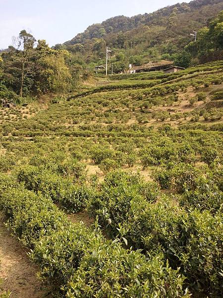 2011-04-02 15.12.26.jpg 2011-04-02 15.12.26.jpg