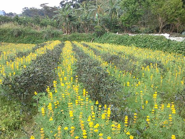 2011-04-02 14.59.04.jpg 2011-04-02 14.59.04.jpg