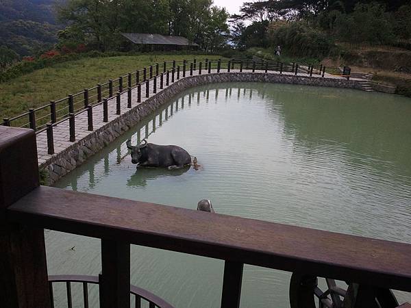 2011-04-02 14.51.02.jpg 2011-04-02 14.51.02.jpg