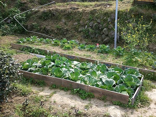 2011-04-02 15.14.25.jpg 2011-04-02 15.14.25.jpg