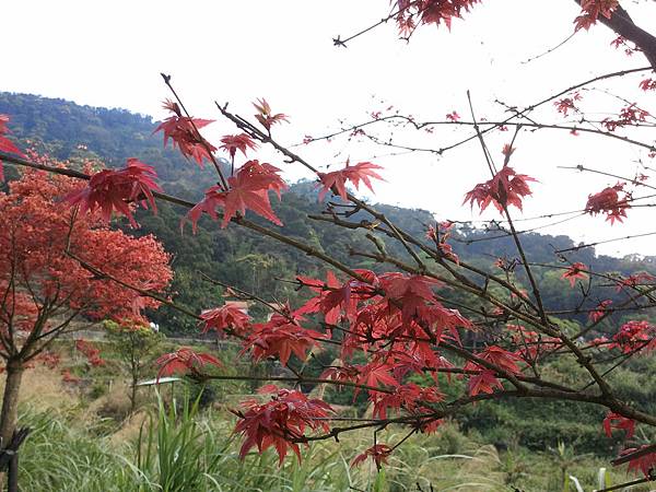 2011-04-02 15.28.09.jpg 2011-04-02 15.28.09.jpg