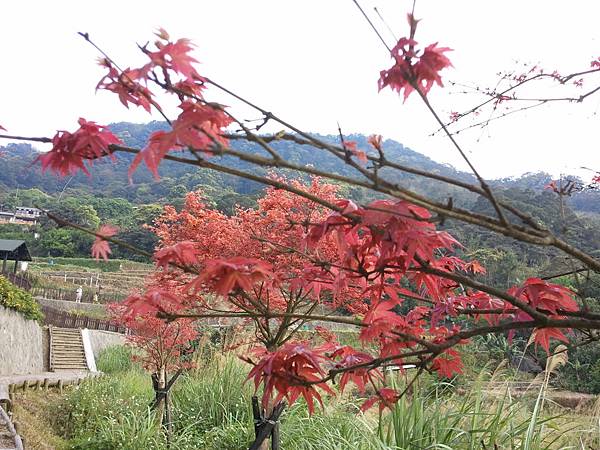 2011-04-02 15.29.05.jpg 2011-04-02 15.29.05.jpg