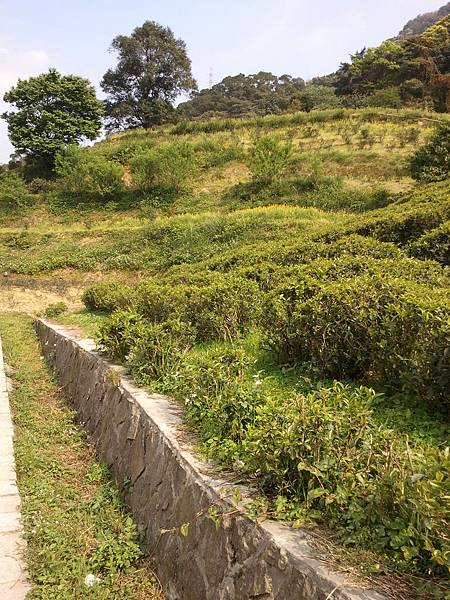 2011-04-02 15.15.26.jpg 2011-04-02 15.15.26.jpg