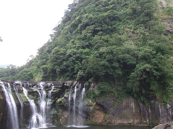 DSCF9309.JPG DSCF9309.JPG