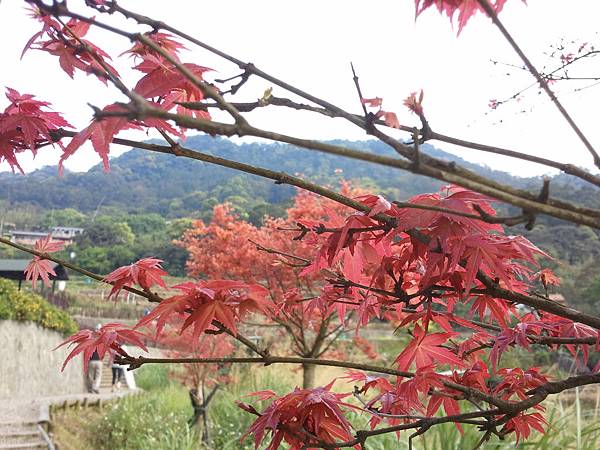 2011-04-02 15.28.32.jpg 2011-04-02 15.28.32.jpg