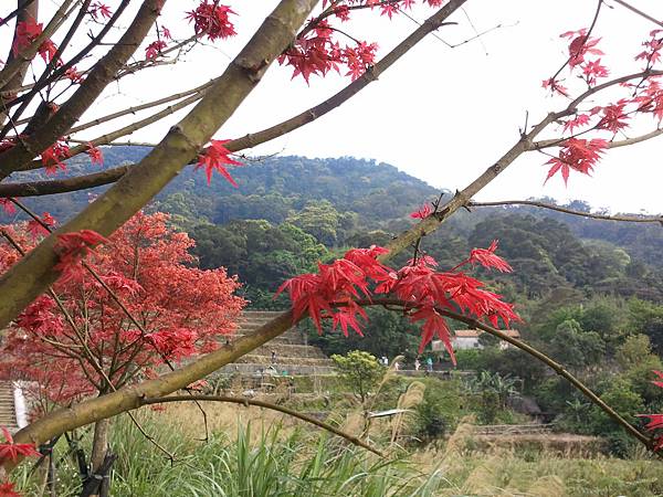 2011-04-02 15.29.22.jpg 2011-04-02 15.29.22.jpg