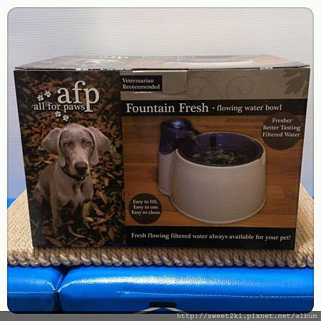 965385_650720144942126_2146114658_o