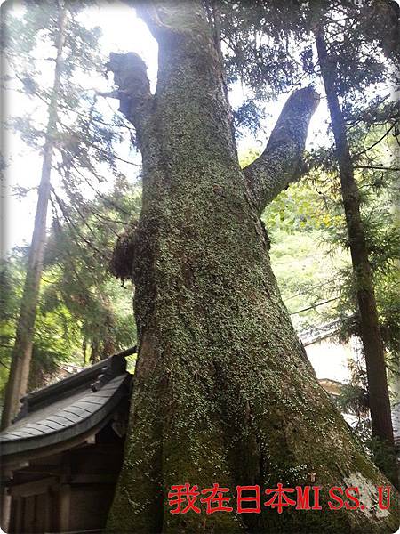 貴船神社