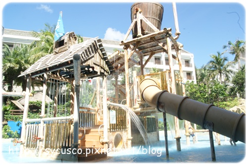 DSC02646.JPG DSC02646.JPG