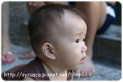 DSC02733.JPG DSC02733.JPG