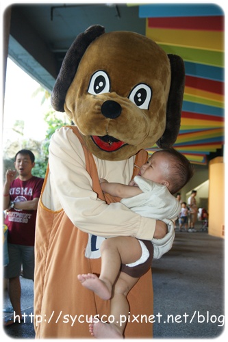 DSC02734.JPG DSC02734.JPG