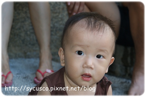 DSC02731.JPG DSC02731.JPG