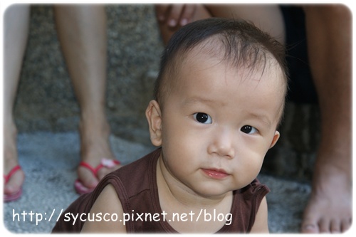 DSC02732.JPG DSC02732.JPG