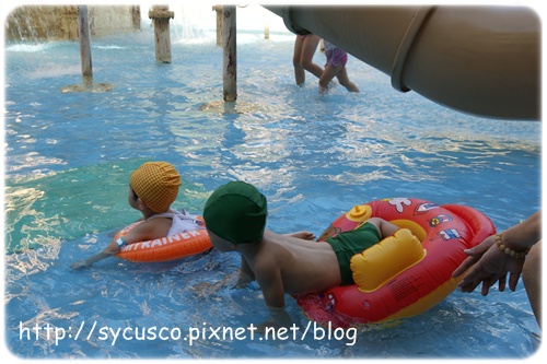 DSC02688.JPG DSC02688.JPG