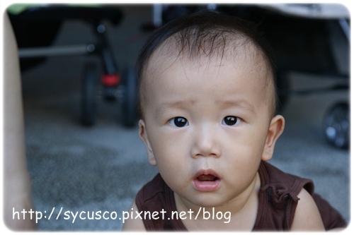 DSC02728.JPG DSC02728.JPG