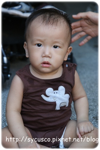 DSC02722.JPG DSC02722.JPG