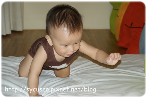 DSC02748.JPG DSC02748.JPG