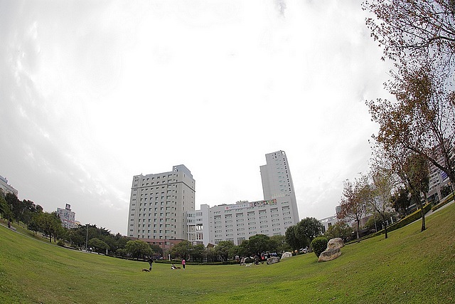 [實拍] Canon EF 15mm F2.8 fishey