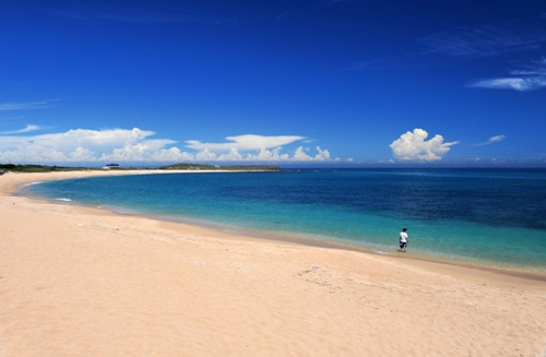 DSC_2128-2.jpg