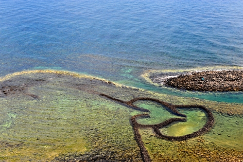 DSC_2005-2.jpg