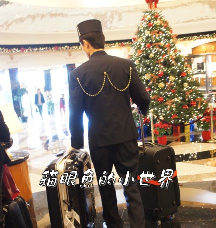 【澳门Fun心玩】外港客运码头※免费接驳车任