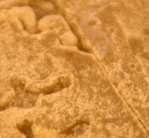 IMG_5257-s IMG_5257-s