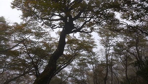 照片 034.jpg 照片 034.jpg