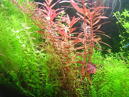 2012/11/12 2012/11/12