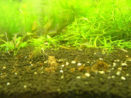 2012/11/13 2012/11/13