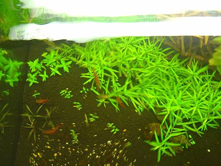 2012/11/13 2012/11/13