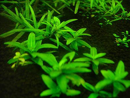 2012/11/26 2012/11/26