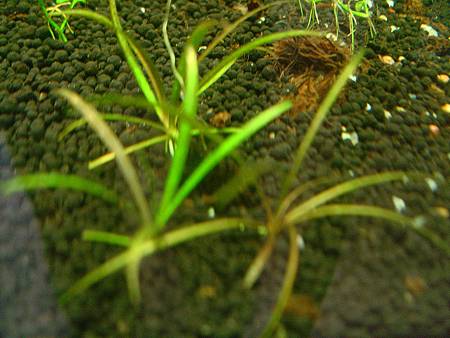 2012/11/26 2012/11/26