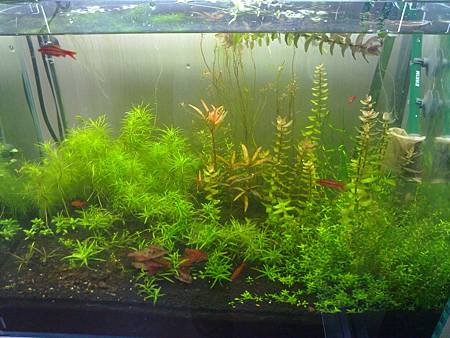 201301221418 201301221418