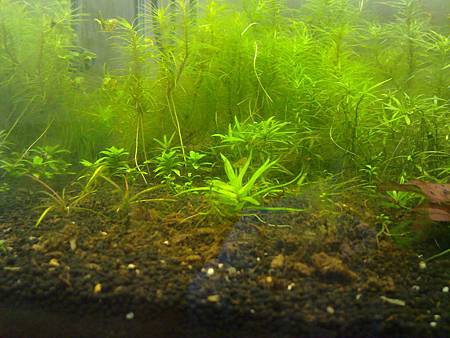 201301221421 201301221421