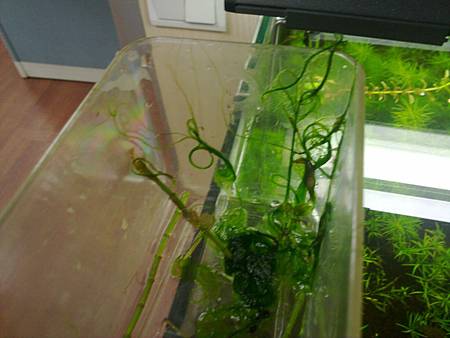 201301221422 201301221422