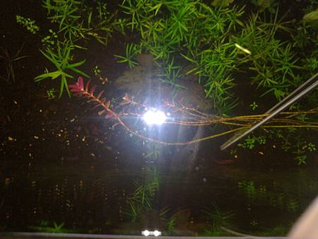 201301221423 201301221423