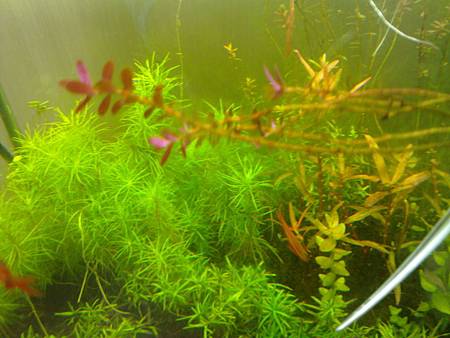 201301221424 201301221424